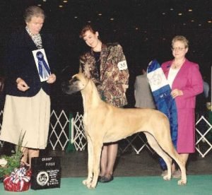 1994: Top 20 Winner BISS Ch. Lyn-Bar's Sundae Rrryon CGC