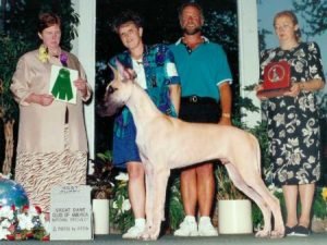 1998: Best Puppy CH DaysStar's Key To My Heart