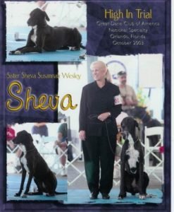 2003: HIT Sister Sheva Susannah Wesley CD CGC