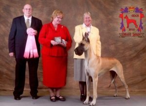 2010: BP Dog In Futurity - CH Double D No More Mr Nice Guy
