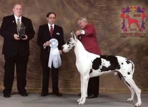 2010: Select Dog GCH CH DDR's The Revelation
