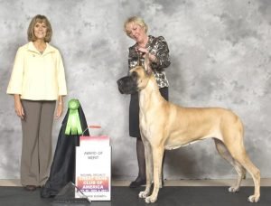 2011: Multi BISS GCH AOM Summerfield's Lady of Hope (2)