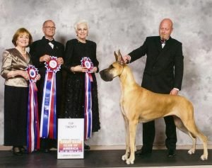 2011: Top 20 Entry BIS BISS GCH Rojons Say Yes (2)