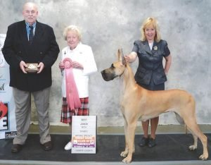 2012: Futurity Best Jr - Bitch GCH Rosendane's So This Is Heaven at Spot on