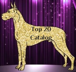 Top 20 Catalog