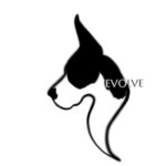 Evolve Great Danes